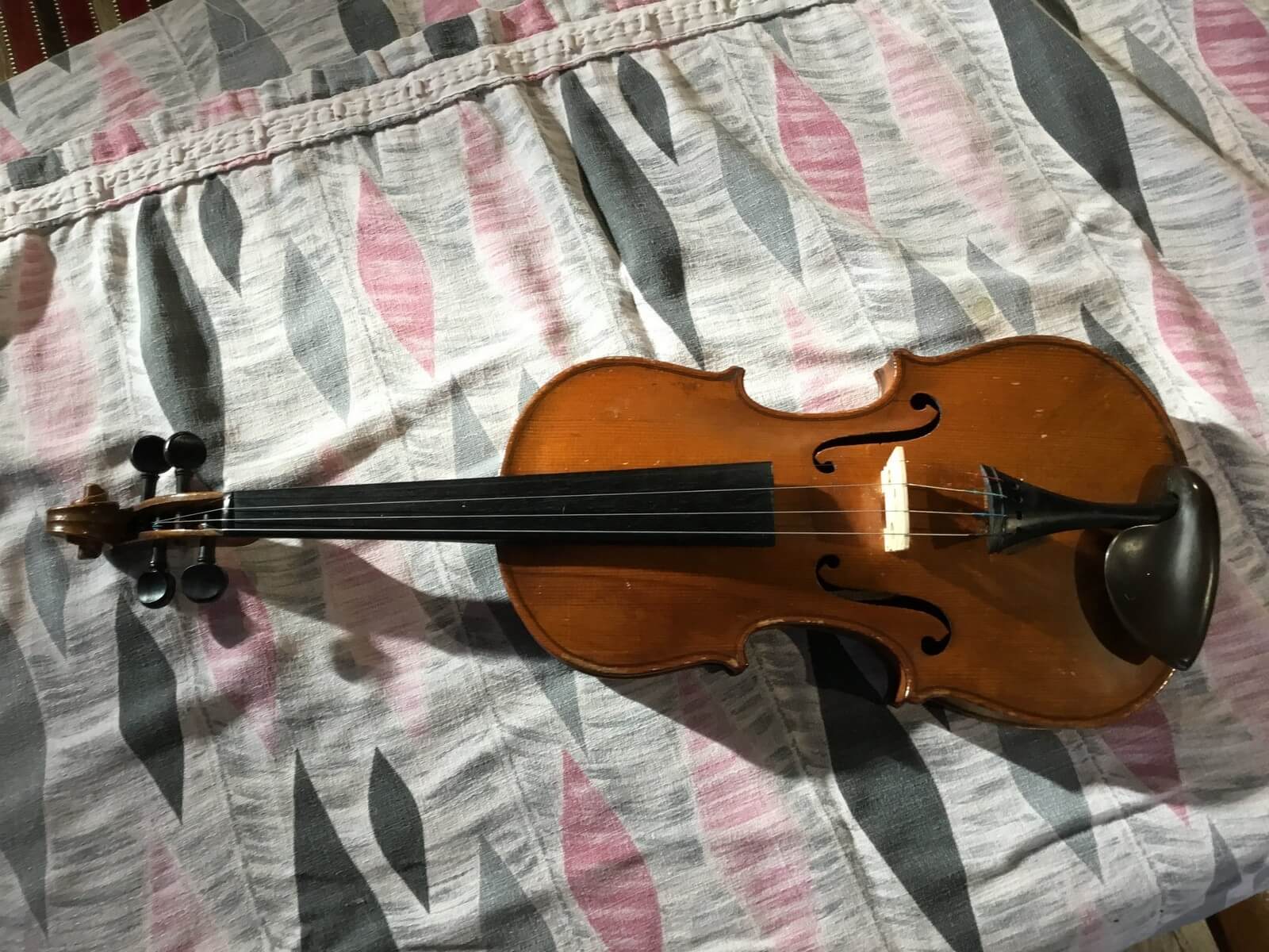 Violin