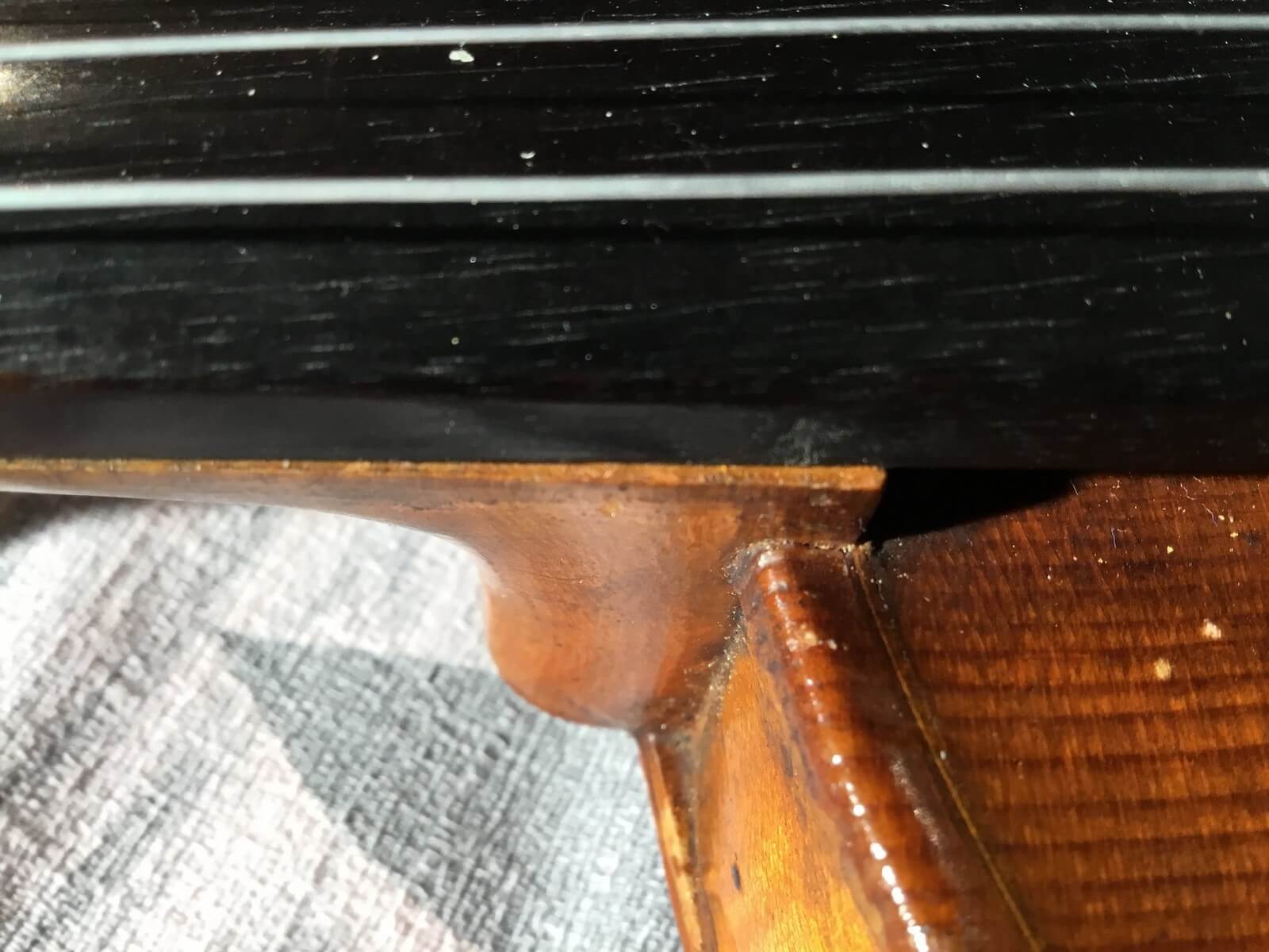 Violin