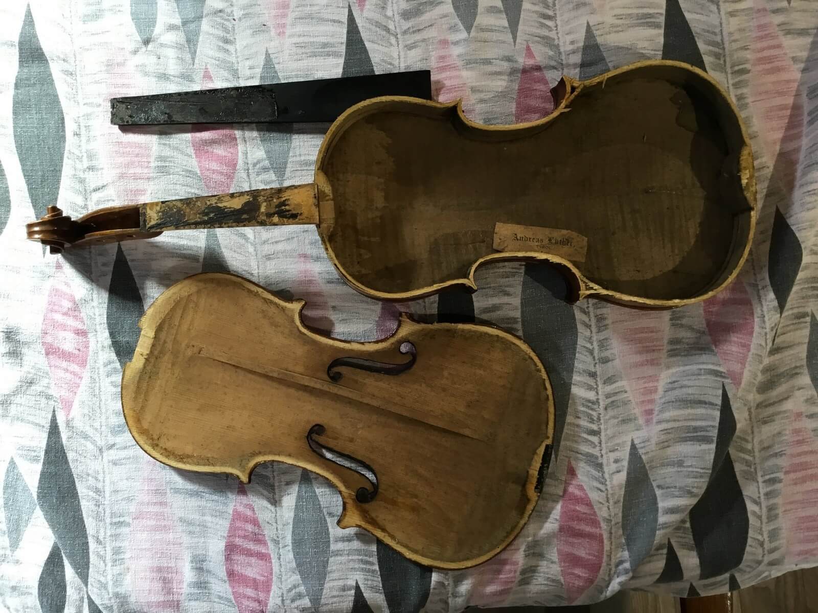 Violin
