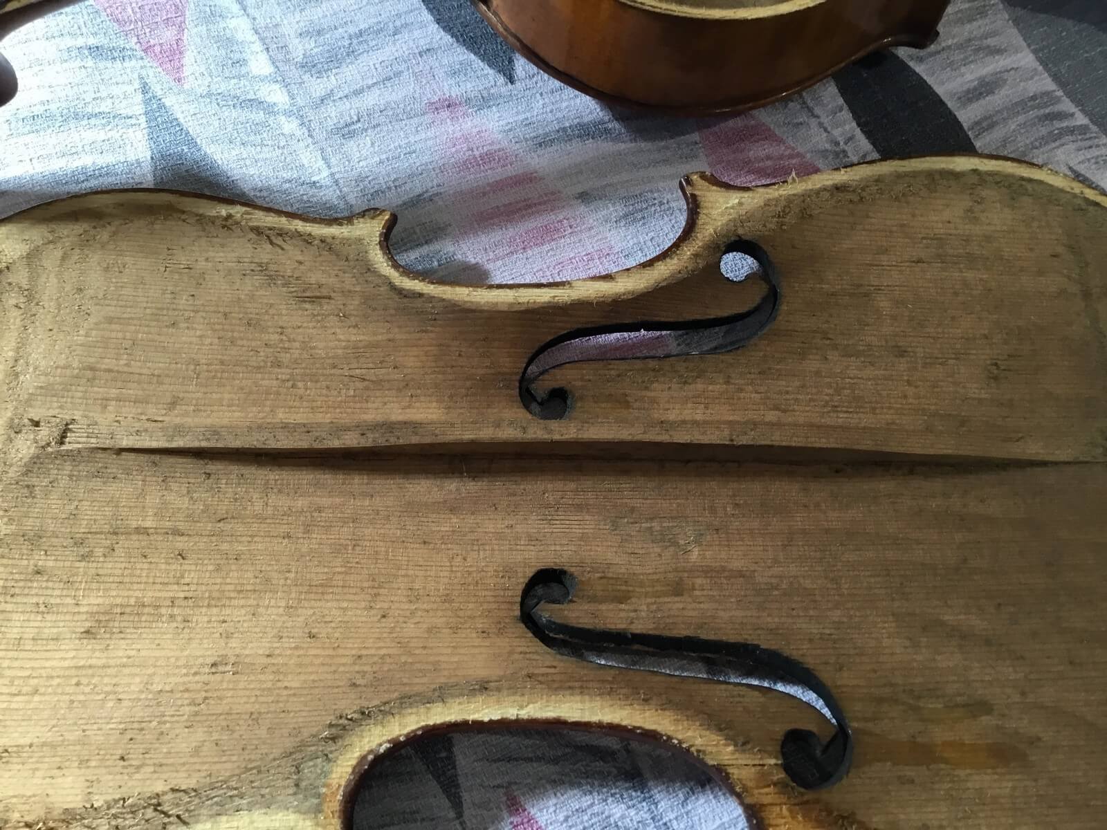 Violin