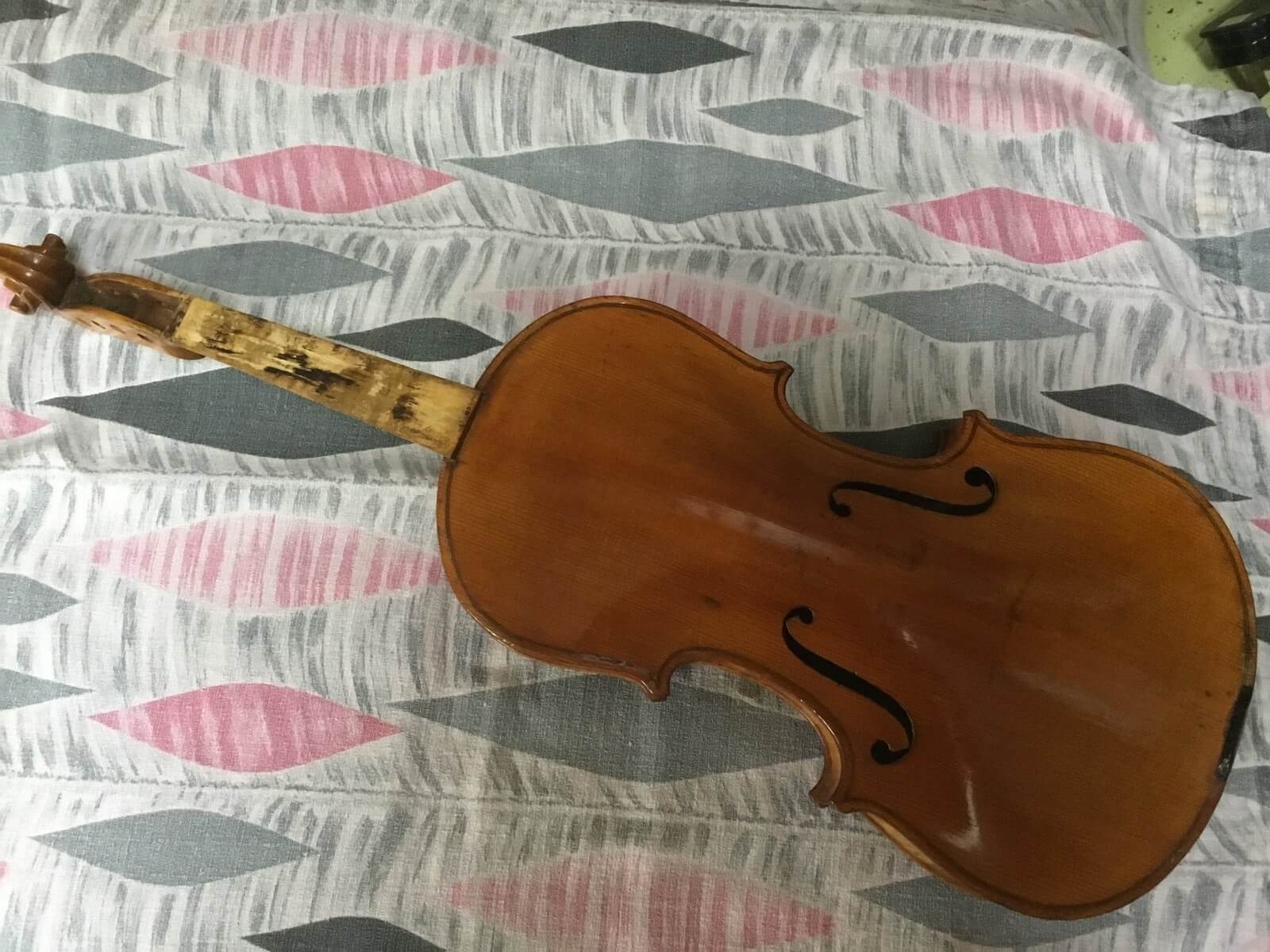 Violin