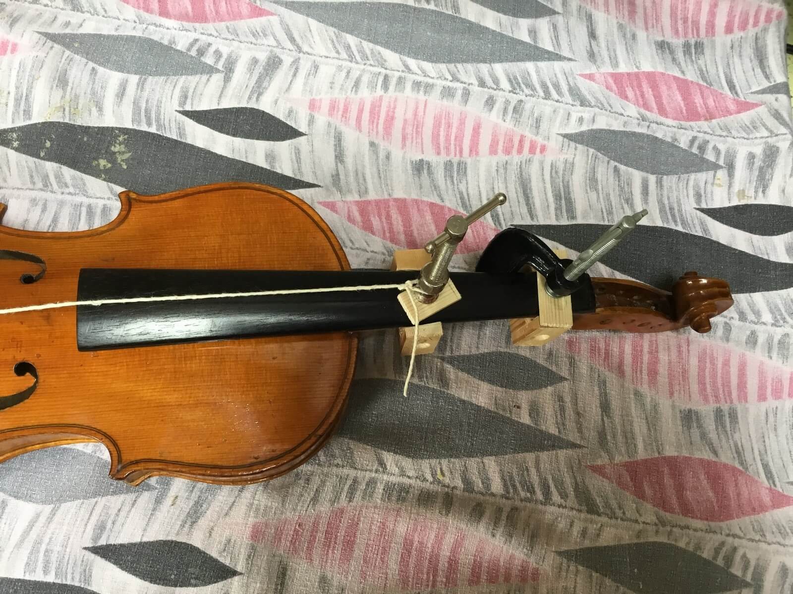 Violin