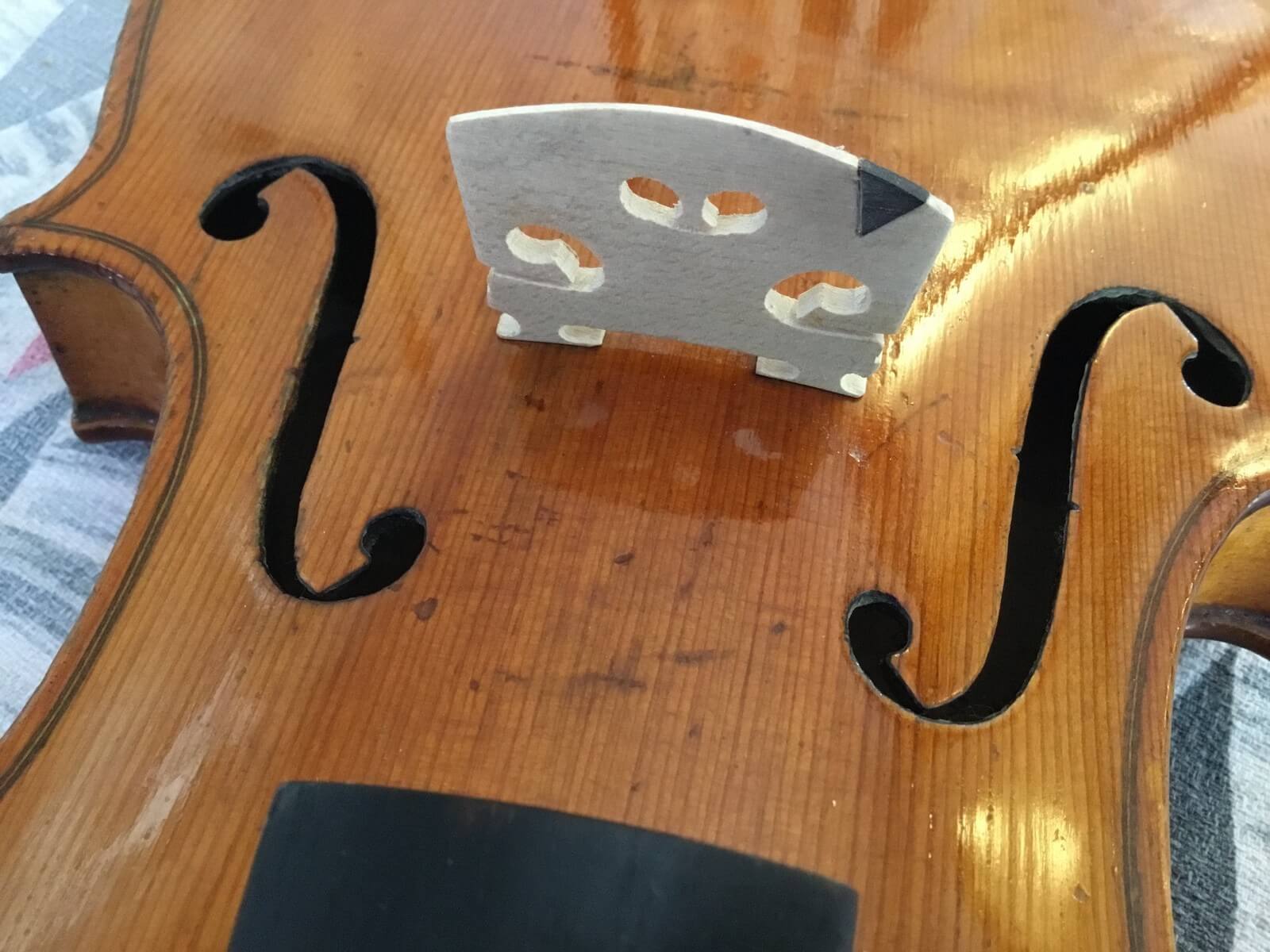 Violin