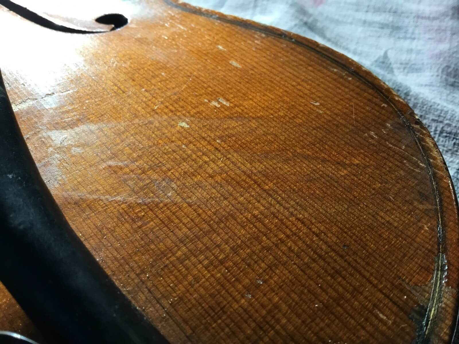 Violin