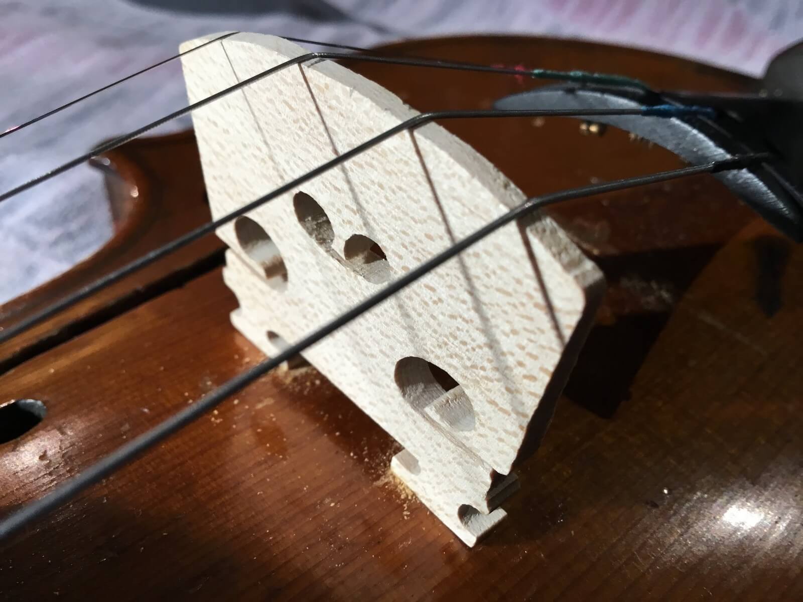 Violin